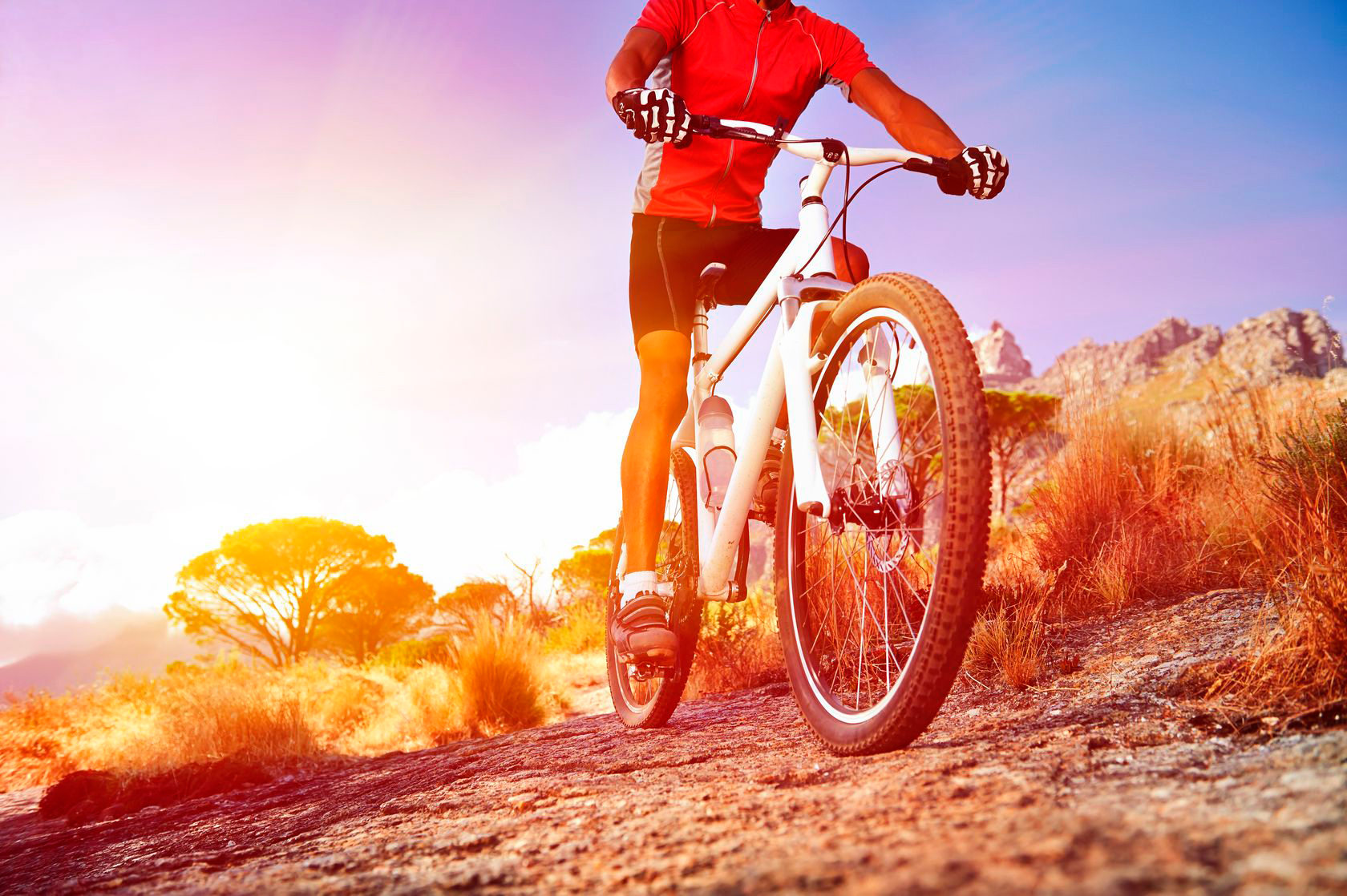 lorem ipsum dolor sit